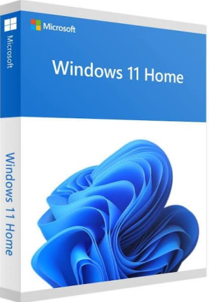 Windows 11